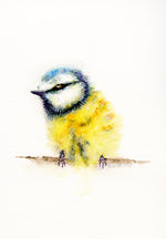 Load image into Gallery viewer, Bird European Blue Tit
