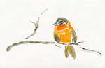 Load image into Gallery viewer, Bird Orange
