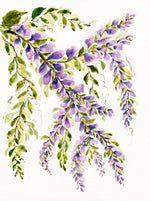 Load image into Gallery viewer, Chinese Wisteria 1
