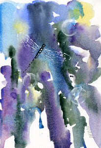 Dragonfly Dreams