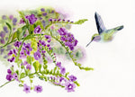 Load image into Gallery viewer, Anna&#39;s Hummingbird with Purple Flowers
