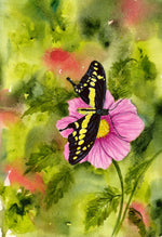 Load image into Gallery viewer, Butterfly - Black Yellow Swallow Tail
