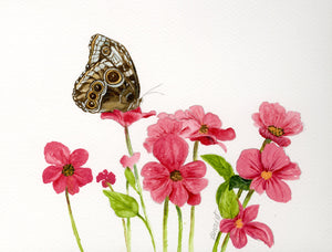 Butterfly - Blue Morpho with Pink Flowers