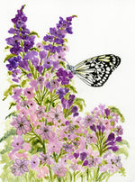 Load image into Gallery viewer, Butterfly 5-Pack Assortment w/Handmade Butterfly Envelopes
