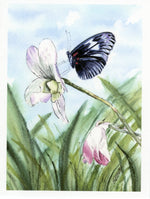 Load image into Gallery viewer, Butterfly - Sara Longwing with Orchid
