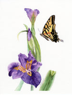 Load image into Gallery viewer, Western Tiger Swallowtail with Water Iris
