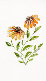 Load image into Gallery viewer, Gloriosa Daisy
