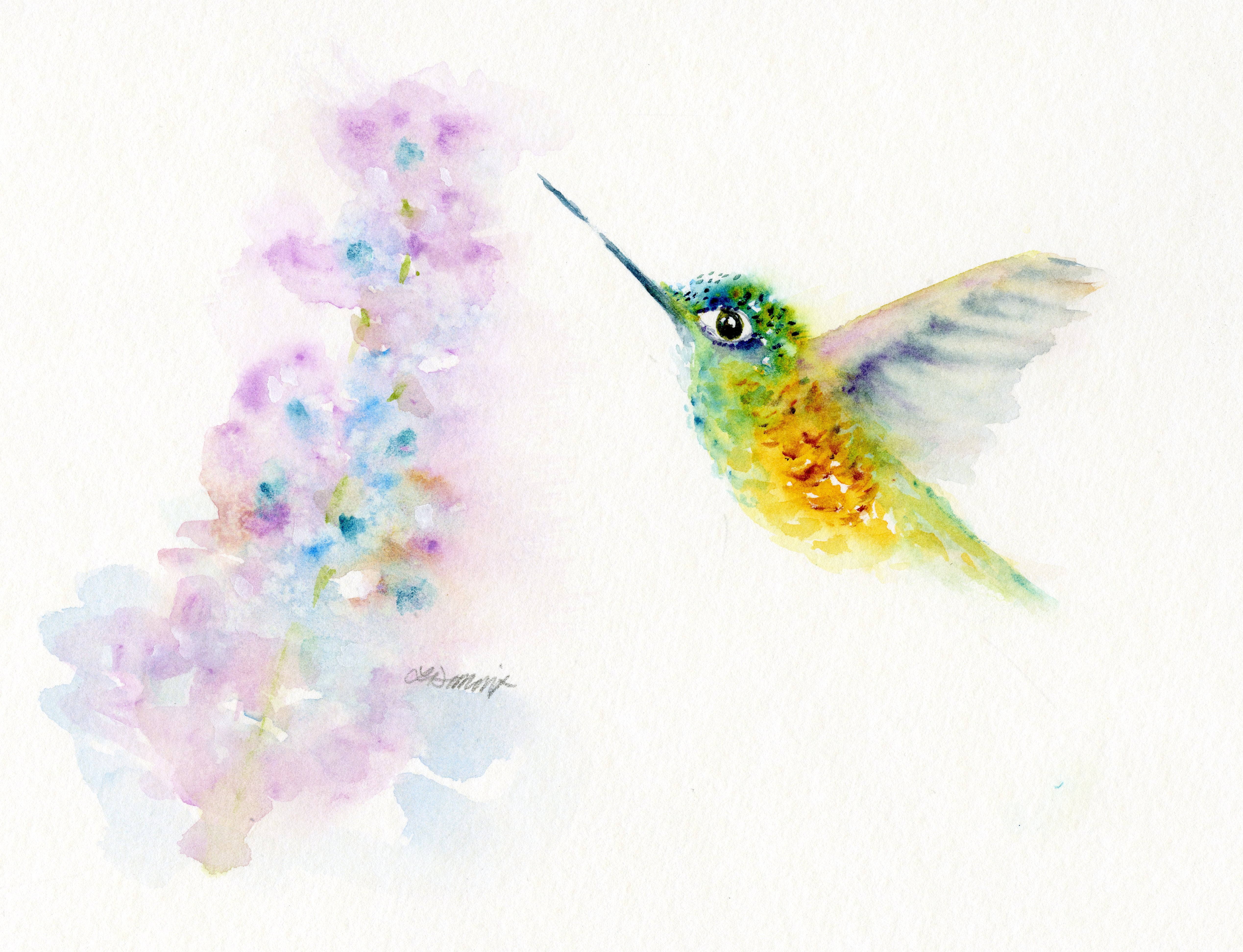 Hummingbird with Larkspur