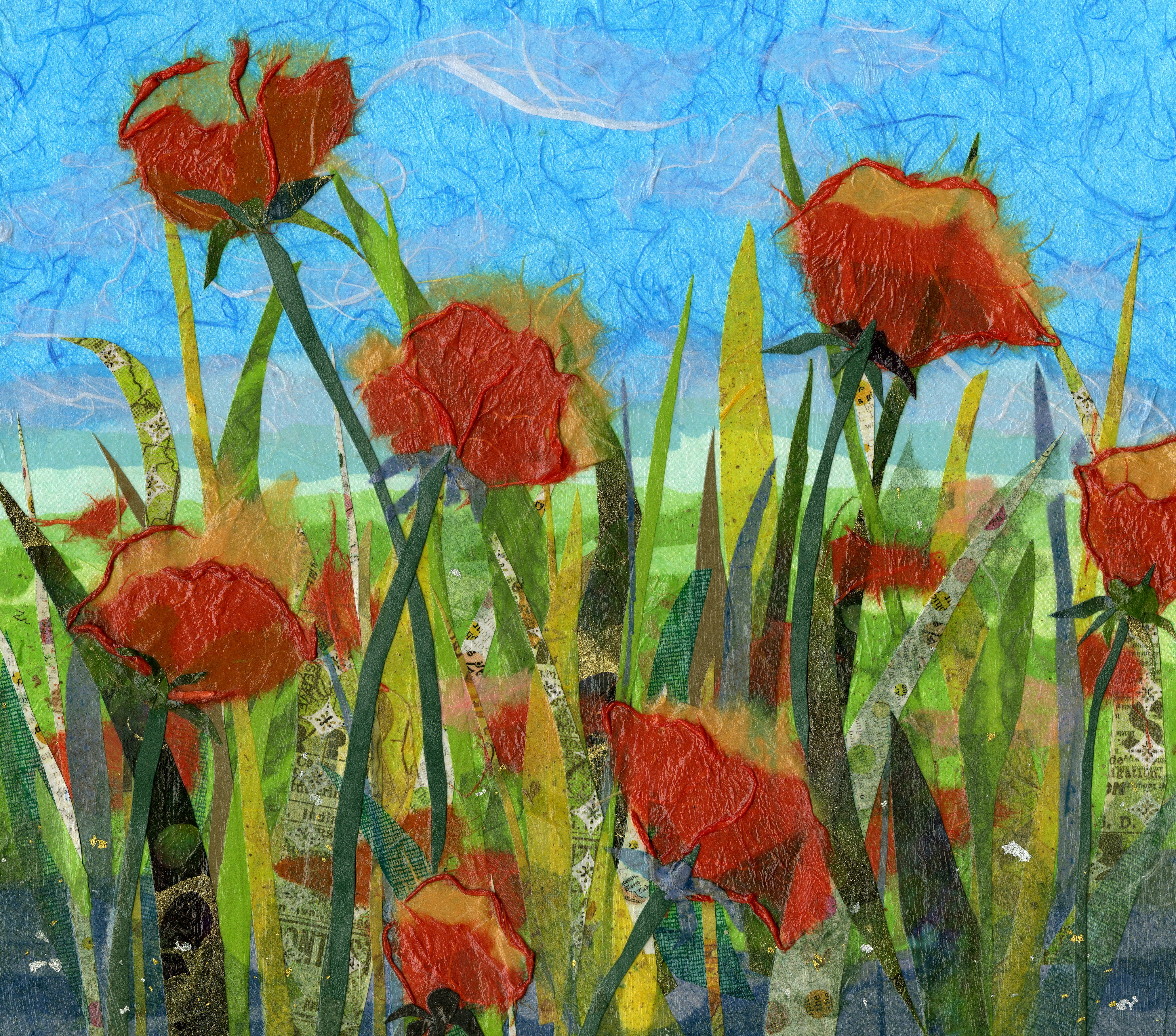 Large Poppies