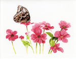 Load image into Gallery viewer, Butterfly 5-Pack Assortment w/Handmade Butterfly Envelopes
