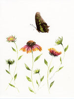 Load image into Gallery viewer, Butterfly 5-Pack Assortment w/Handmade Butterfly Envelopes
