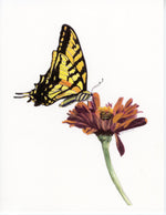 Load image into Gallery viewer, Butterfly 5-Pack Assortment w/Handmade Butterfly Envelopes
