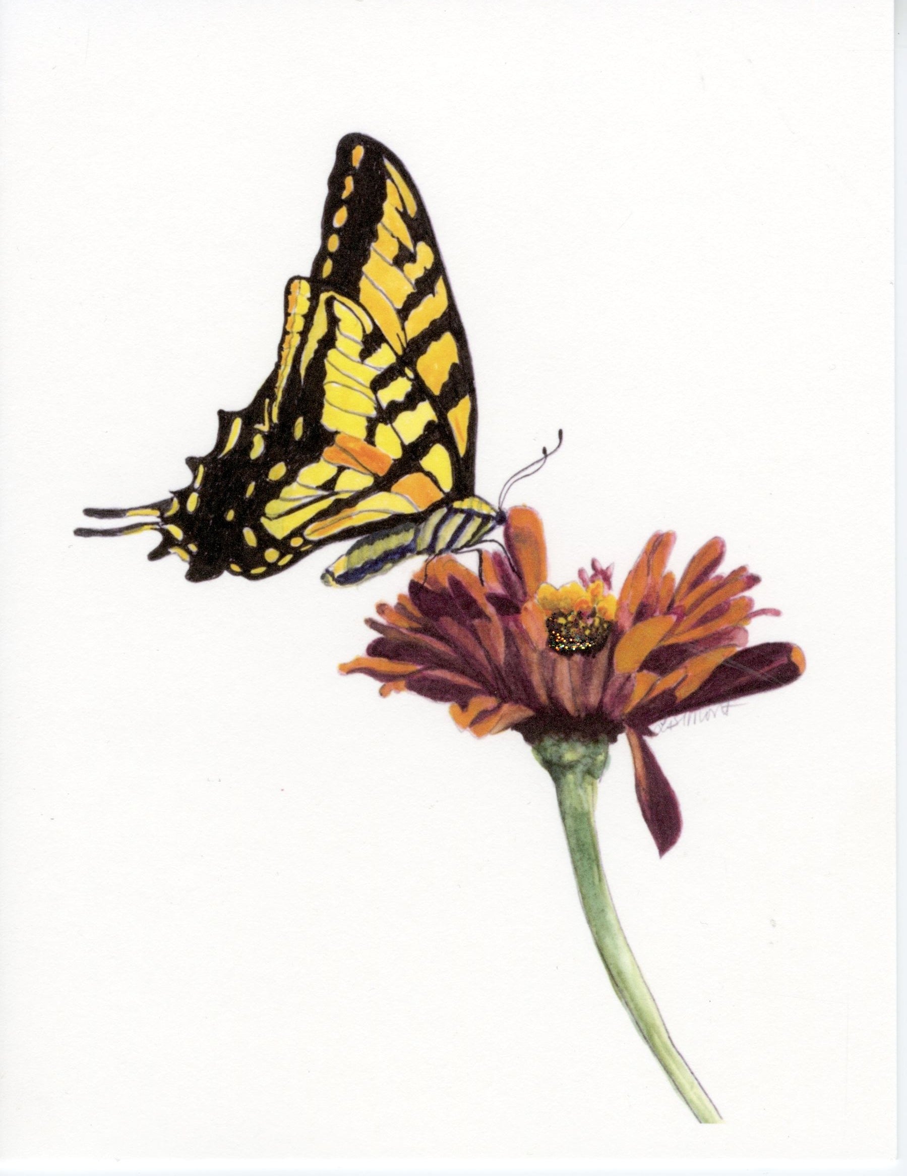 Tiger Swallowtail Butterfly Art Print – Tara Feather Designs