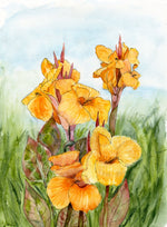 Load image into Gallery viewer, Olympic Flame Gladiolus
