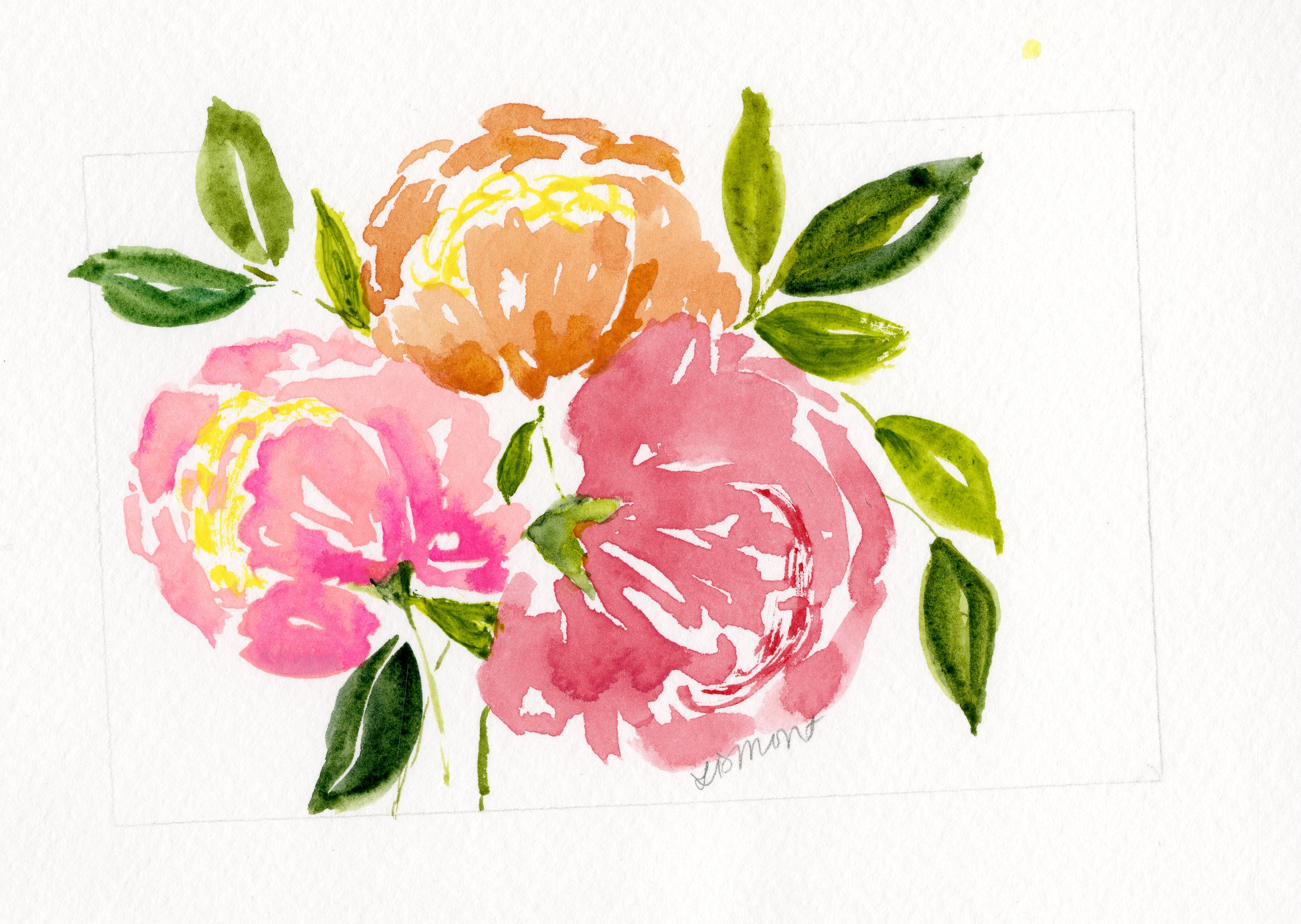 Spring Peonies