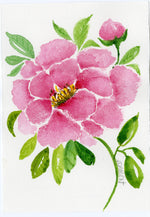 Load image into Gallery viewer, Pink Peonies
